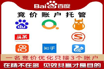 案例分享：SEM推广助力电商快速崛起